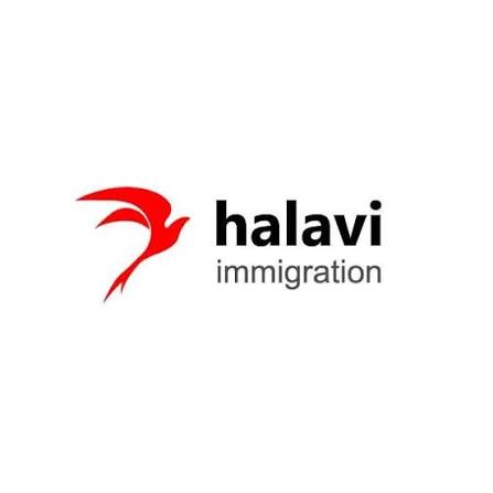 Halavi Immigration logo